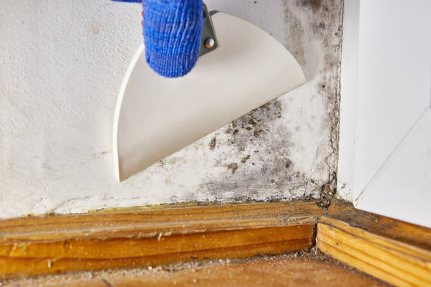 Best Post-Remediation Verification Testing  in Crooksville, OH