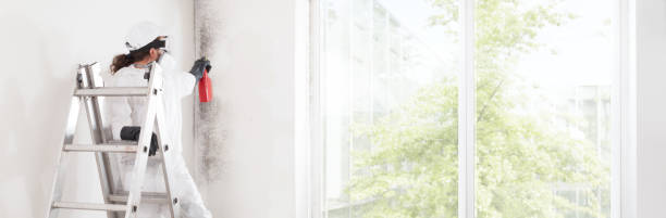 Best Mold Remediation for Healthcare Facilities  in Crooksville, OH